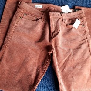 Gap corduroy pants.